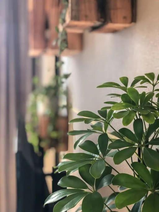 Apartment Free Garage Parking!!! Stylish Getaway In Prime Location - By The Danube And Old Town Pressburg